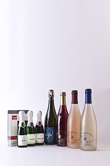 Jung und Spritzig Collection