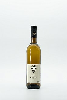 Bacchus 2024 