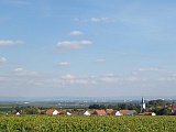 Aufnahme von Bermersheim bei Sonnenschein und blauem Himmel mit Blick in die Rheinebene.